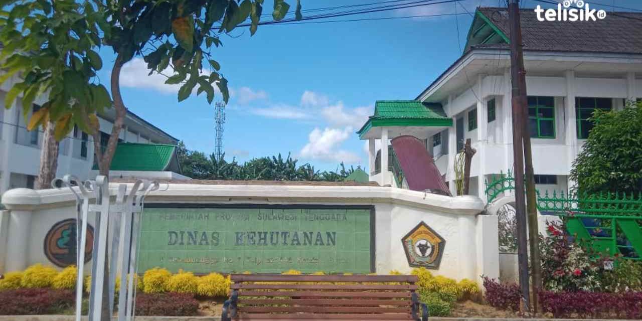 Dinas Kehutanan Dan Upaya Menjaga Kelestarian Lingkungan