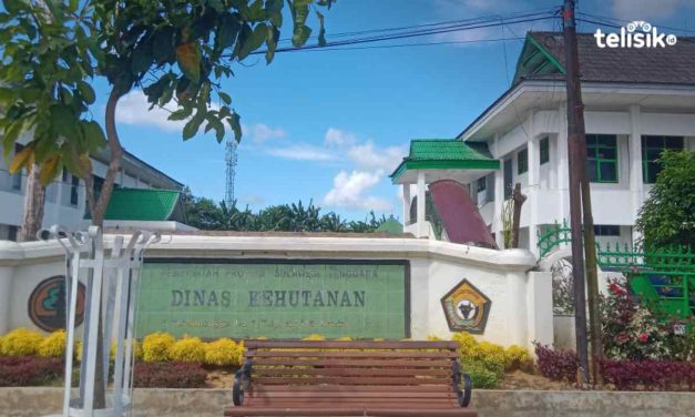 Dinas Kehutanan Dan Upaya Menjaga Kelestarian Lingkungan