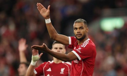 Peran Baru Cody Gakpo Jadi Solusi Lini Depan Liverpool