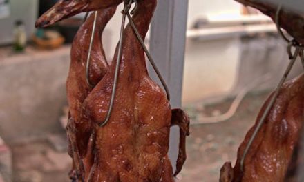 Bebek Peking Yogyakarta Sajian Spesial Perayaan Imlek 2026