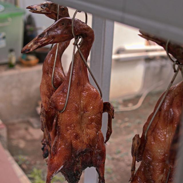 Bebek Peking Yogyakarta Sajian Spesial Perayaan Imlek 2026