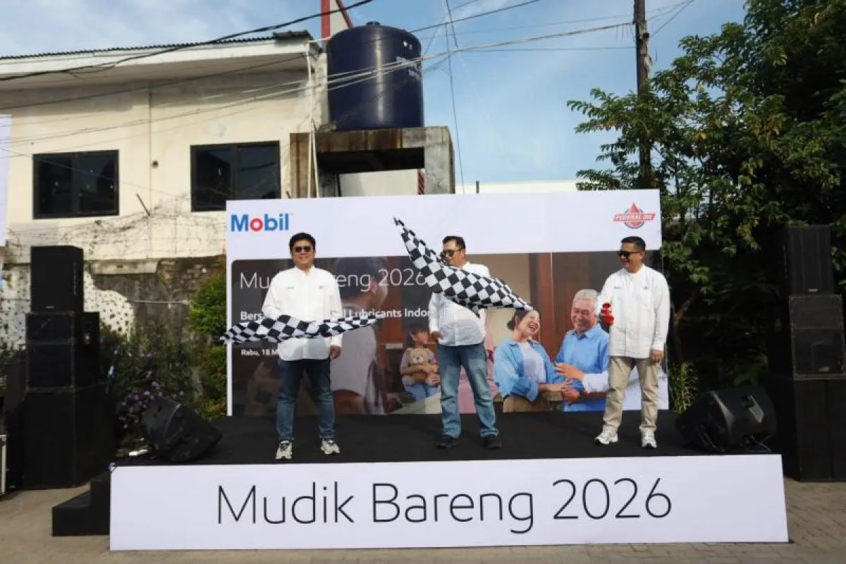 Program Mudik