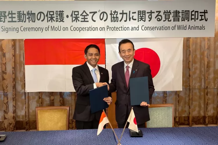 Diplomasi Hijau Indonesia–Jepang Strategi Konservasi Komodo