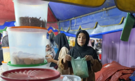 Strategi Pemulihan Ekonomi Pascabencana: Usaha Kue Lebaran