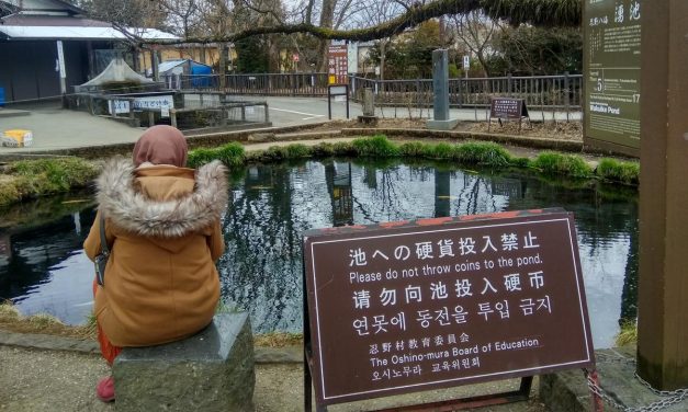 Fenomena Koin di Oshino Hakkai Picu Kekhawatiran Kualitas Air