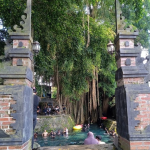 Umbul Sigedhang dan Kapilaler: Melestarikan Warisan Budaya