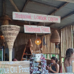 Transformasi Desa Jeruk Manis Lombok Timur Destinasi Wisata