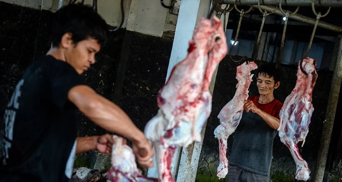Tips Aman Kesehatan Kulit Menangani Hewan Kurban Idul Adha