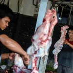 Tips Aman Kesehatan Kulit Menangani Hewan Kurban Idul Adha