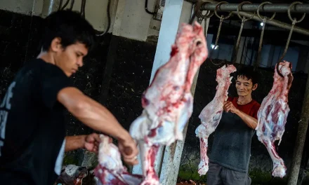 Tips Aman Kesehatan Kulit Menangani Hewan Kurban Idul Adha