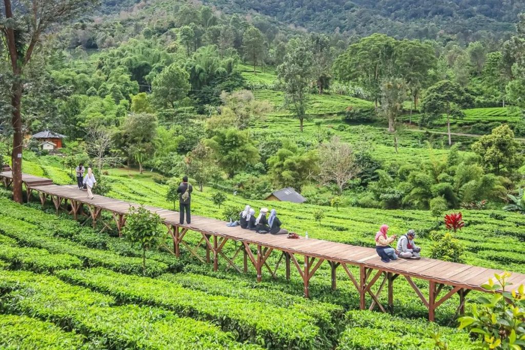 Pemandangan wisata alam di Bogor yang ramah lansia dengan jalur nyaman dan suasana hijau untuk liburan bersama keluarga.