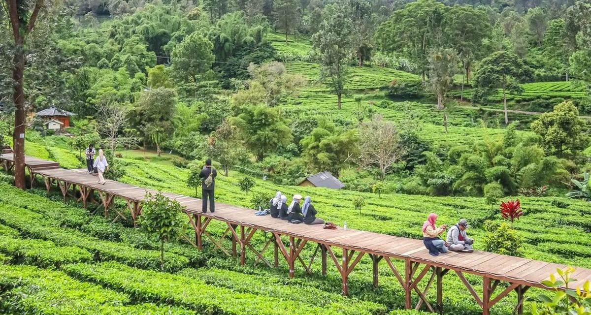 5 Wisata Bogor Ramah Lansia yang Nyaman dan Menenangkan
