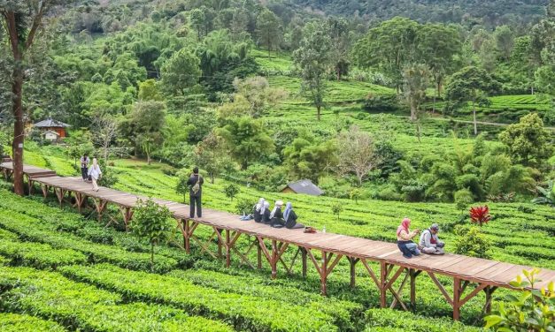 5 Wisata Bogor Ramah Lansia yang Nyaman dan Menenangkan