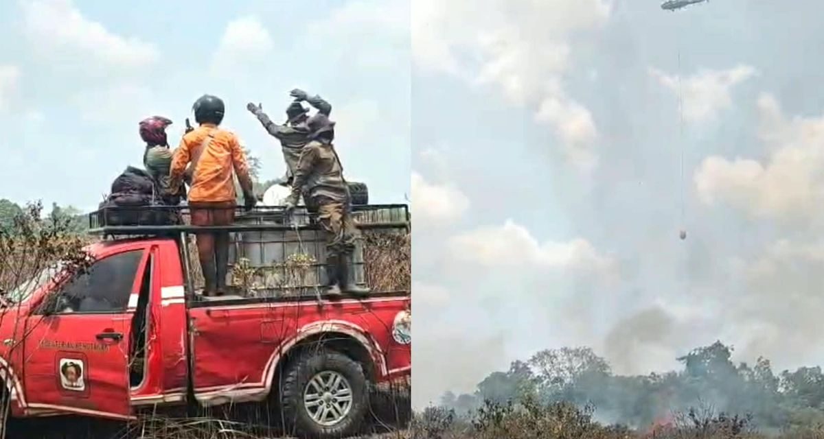 Polda Lampung Deteksi 41 Titik Panas, 21 Hotspot Terkonsentrasi di Way Kambas