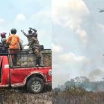 Polda Lampung Deteksi 41 Titik Panas, 21 Hotspot Terkonsentrasi di Way Kambas