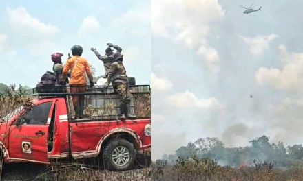 Polda Lampung Deteksi 41 Titik Panas, 21 Hotspot Terkonsentrasi di Way Kambas