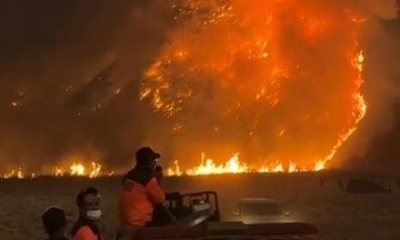 Kebakaran Gunung Bromo Meluas, Wisata Ditutup Total