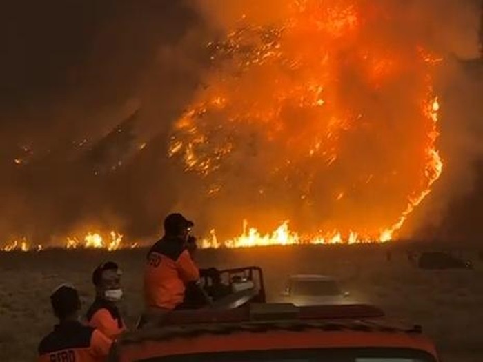 Kebakaran Gunung Bromo meluas hingga kawasan padang savana dan menyebabkan penutupan akses wisata.