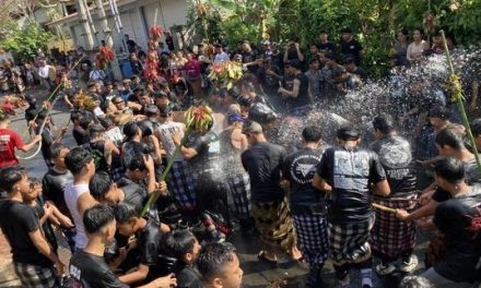 Tradisi Mecaru Mejaga-jaga di Klungkung, Ritual Sakral Mengarak Sapi Merah