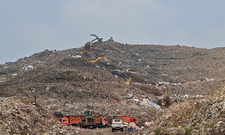 Jakarta Hadapi Darurat Sampah, Warga Mulai Wajib Pilah Sampah dari Rumah