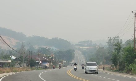 Kabut Asap Karhutla Kalimantan Capai Filipina, Warga Rentan Davao Diminta Waspada
