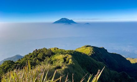 Gunung Ungaran via Perantunan, Jalur Singkat dengan Panorama Sabana